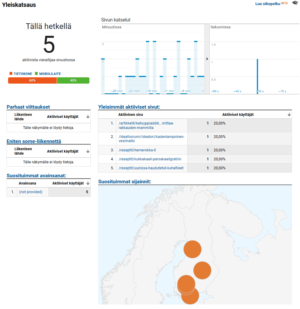 Google Analytics - Realtime-raportti