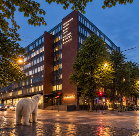 Tekoälyn luoma kuvituskuva: jääkarhu Bulevardin toimistomme edessä